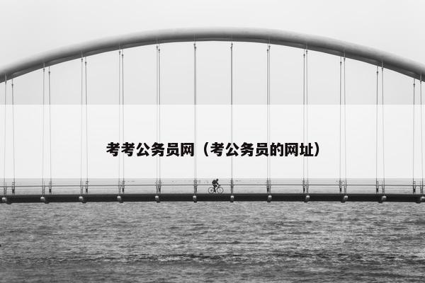 考考公务员网（考公务员的网址）