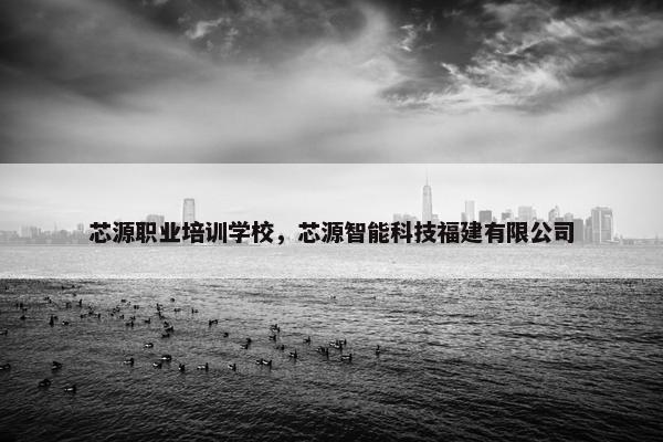 芯源职业培训学校，芯源智能科技福建有限公司
