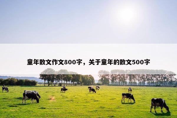 童年散文作文800字，关于童年的散文500字