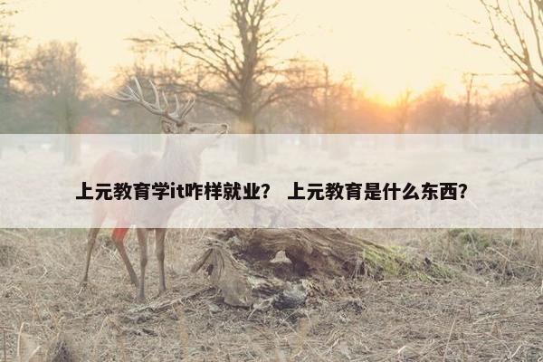 上元教育学it咋样就业？ 上元教育是什么东西？