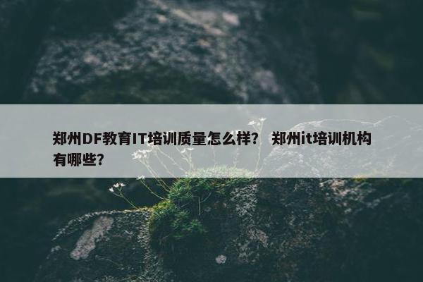 郑州DF教育IT培训质量怎么样？ 郑州it培训机构有哪些？