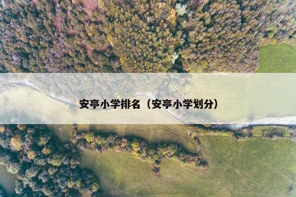 安亭小学排名（安亭小学划分）
