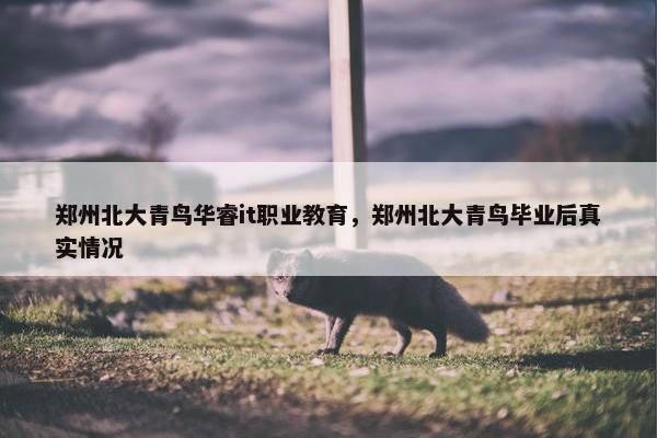 郑州北大青鸟华睿it职业教育，郑州北大青鸟毕业后真实情况