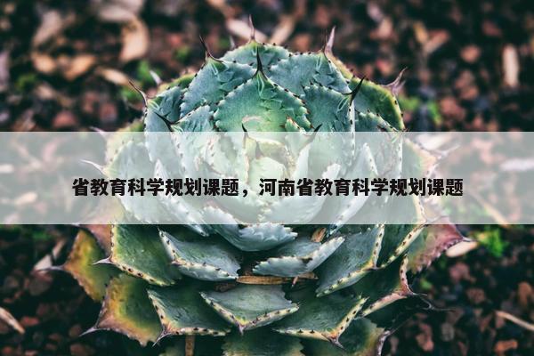 省教育科学规划课题，河南省教育科学规划课题