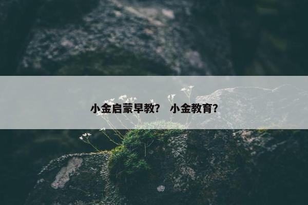 小金启蒙早教？ 小金教育？