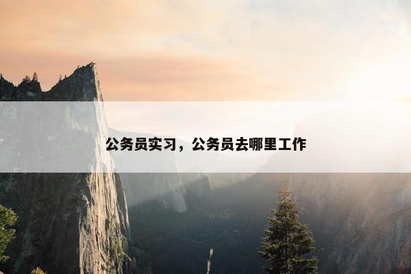 公务员实习，公务员去哪里工作