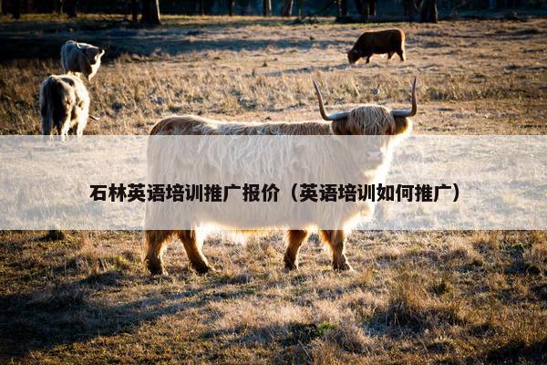 石林英语培训推广报价（英语培训如何推广）