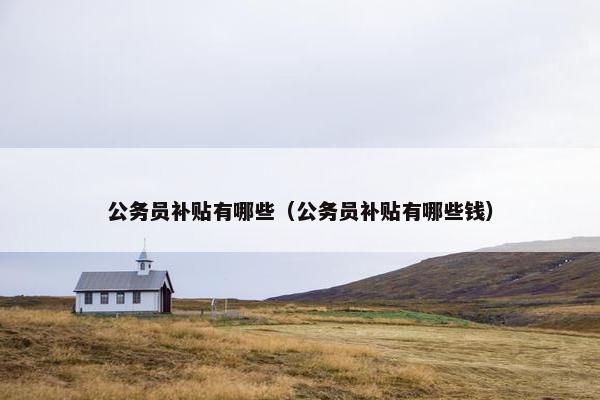 公务员补贴有哪些（公务员补贴有哪些钱）
