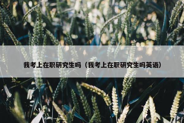 我考上在职研究生吗（我考上在职研究生吗英语）