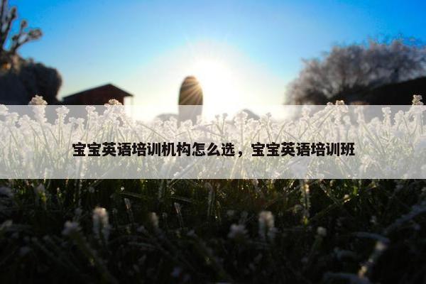 宝宝英语培训机构怎么选，宝宝英语培训班
