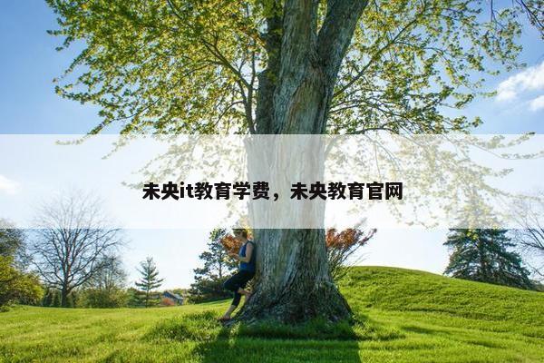 未央it教育学费，未央教育官网