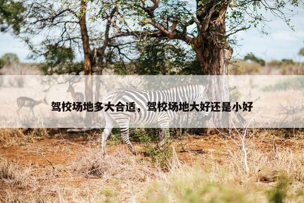 驾校场地多大合适，驾校场地大好还是小好