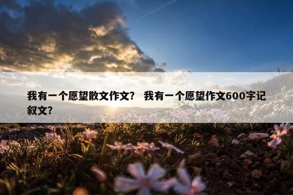 我有一个愿望散文作文？ 我有一个愿望作文600字记叙文？