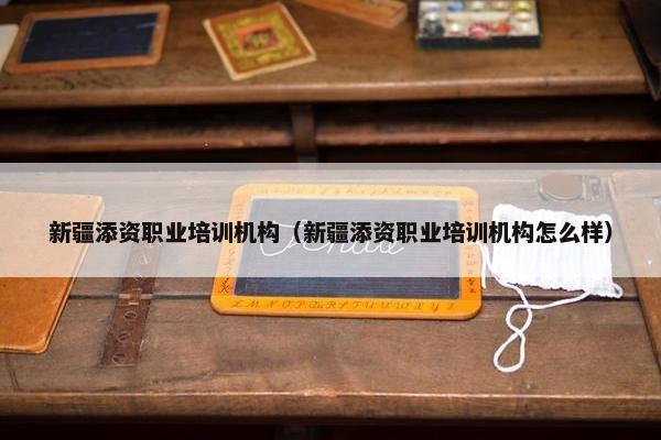 新疆添资职业培训机构（新疆添资职业培训机构怎么样）