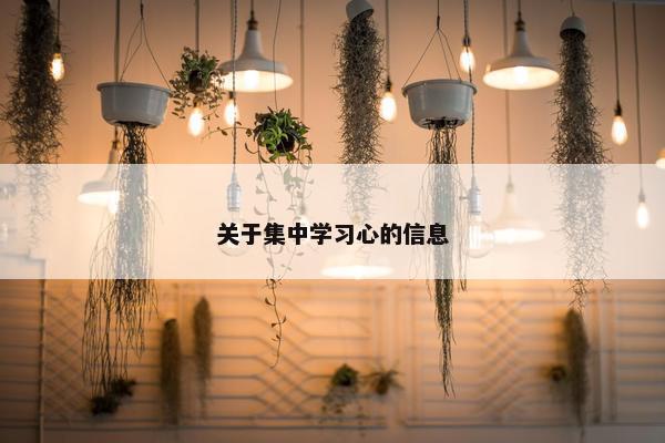 关于集中学习心的信息