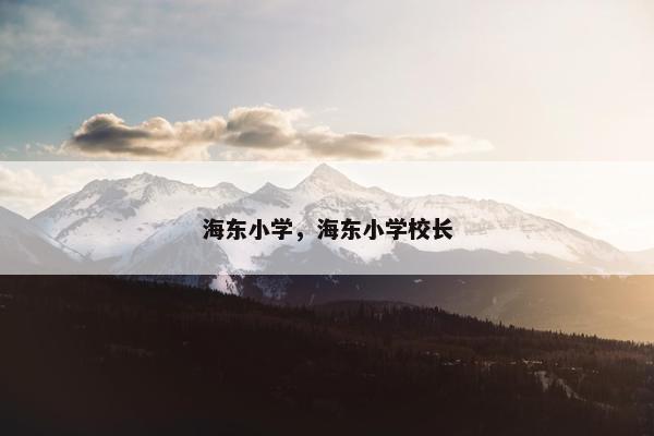 海东小学，海东小学校长