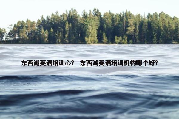 东西湖英语培训心？ 东西湖英语培训机构哪个好？