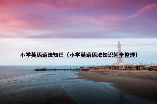 小学英语语法知识（小学英语语法知识超全整理）