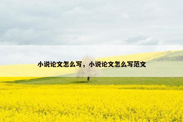 小说论文怎么写，小说论文怎么写范文