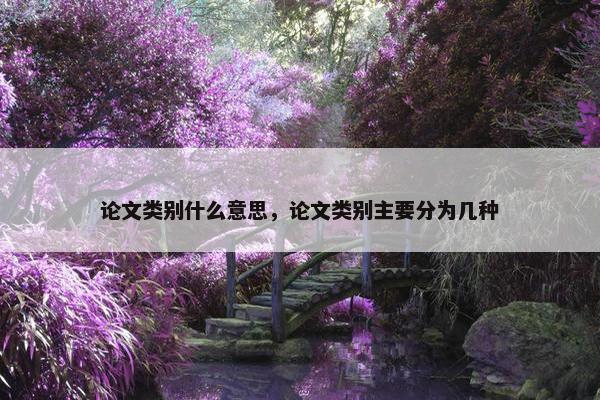 论文类别什么意思，论文类别主要分为几种