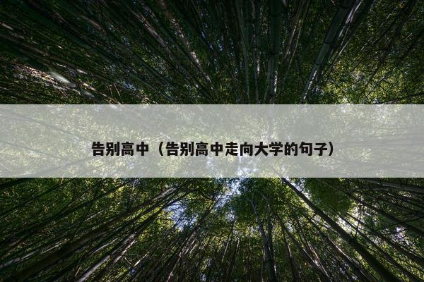 告别高中（告别高中走向大学的句子）