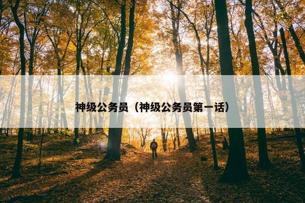 神级公务员（神级公务员第一话）