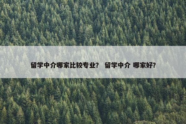 留学中介哪家比较专业？ 留学中介 哪家好？