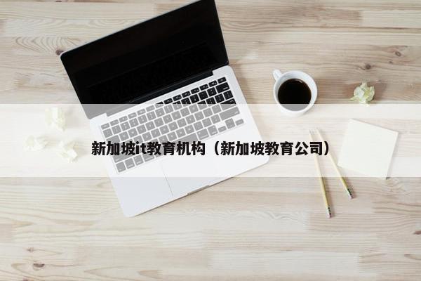 新加坡it教育机构（新加坡教育公司）