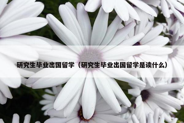 研究生毕业出国留学（研究生毕业出国留学是读什么）