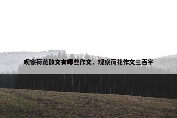 观察荷花散文有哪些作文，观察荷花作文三百字