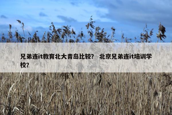 兄弟连it教育北大青岛比较？ 北京兄弟连it培训学校？