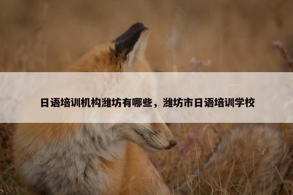 日语培训机构潍坊有哪些，潍坊市日语培训学校