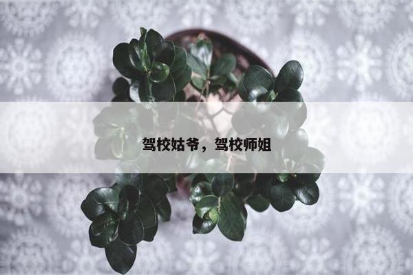 驾校姑爷，驾校师姐