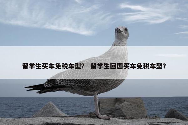 留学生买车免税车型？ 留学生回国买车免税车型？