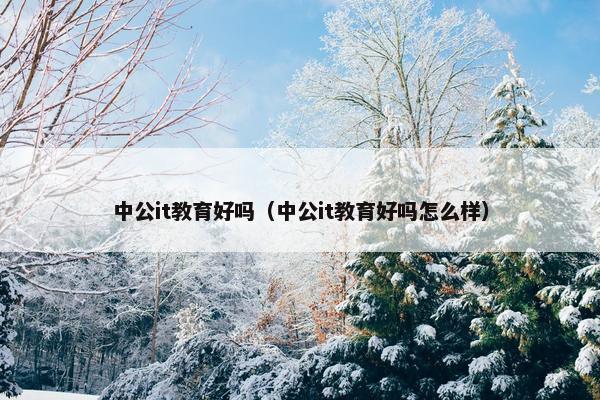 中公it教育好吗（中公it教育好吗怎么样）