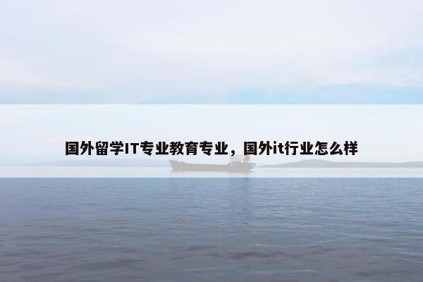国外留学IT专业教育专业，国外it行业怎么样
