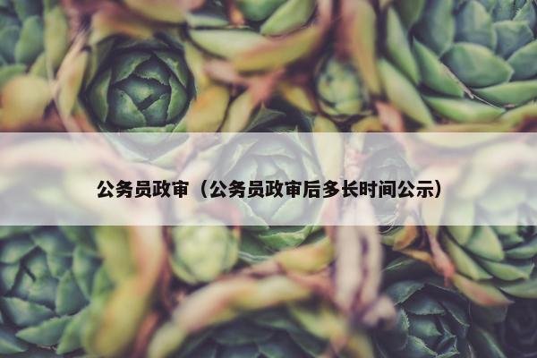公务员政审（公务员政审后多长时间公示）
