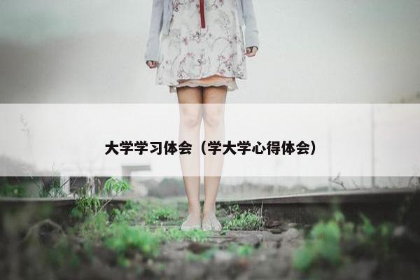 大学学习体会（学大学心得体会）