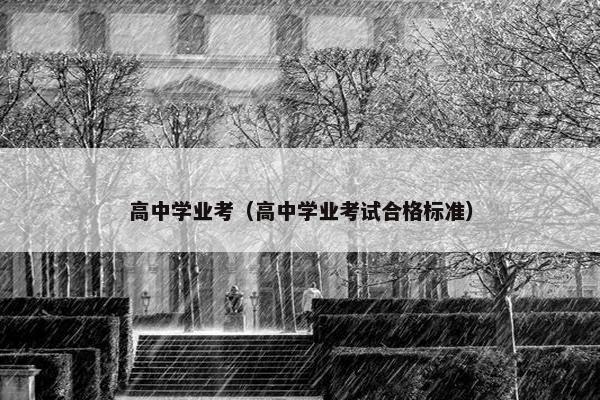 高中学业考（高中学业考试合格标准）