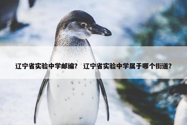 辽宁省实验中学邮编？ 辽宁省实验中学属于哪个街道？