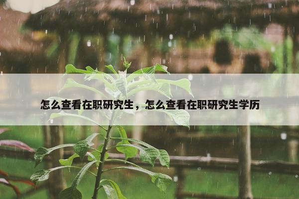 怎么查看在职研究生，怎么查看在职研究生学历