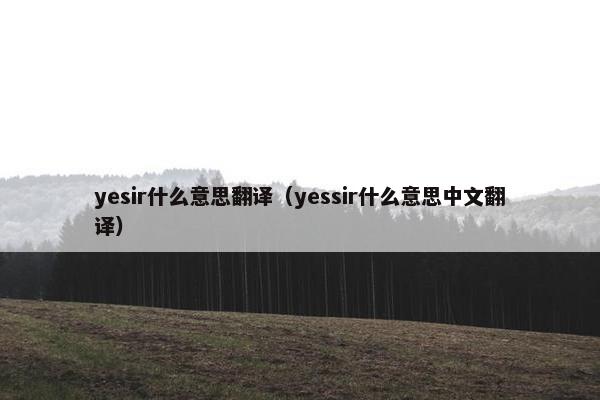 yesir什么意思翻译（yessir什么意思中文翻译）