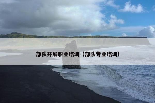 部队开展职业培训（部队专业培训）