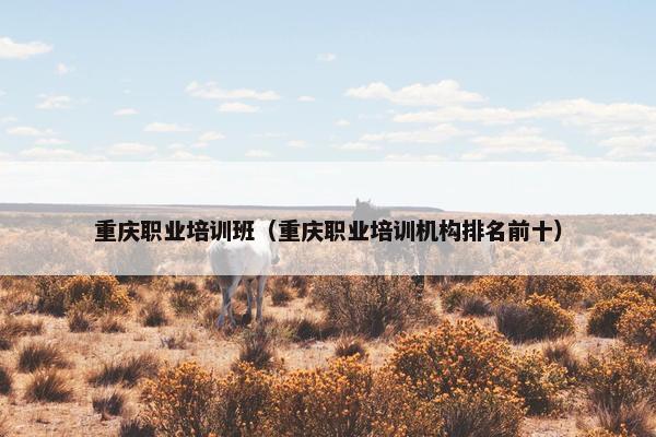 重庆职业培训班（重庆职业培训机构排名前十）