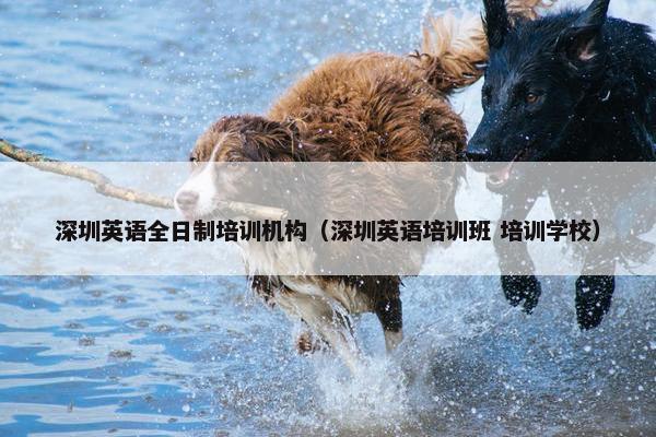 深圳英语全日制培训机构（深圳英语培训班 培训学校）