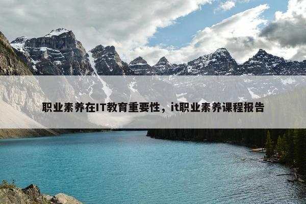 职业素养在IT教育重要性，it职业素养课程报告