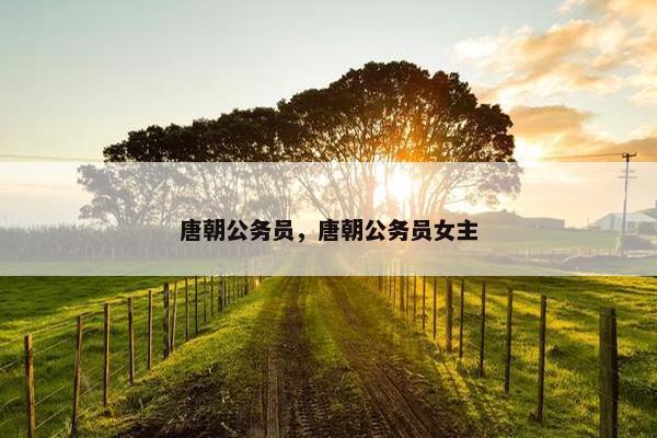 唐朝公务员，唐朝公务员女主