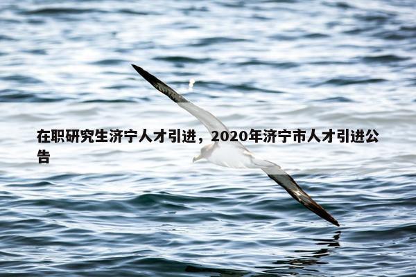 在职研究生济宁人才引进，2020年济宁市人才引进公告