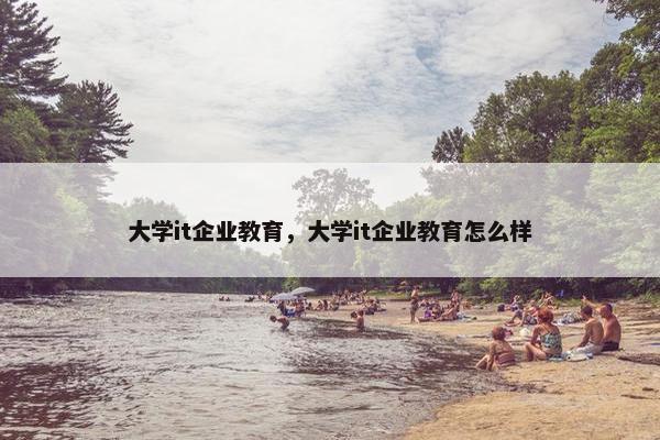 大学it企业教育，大学it企业教育怎么样