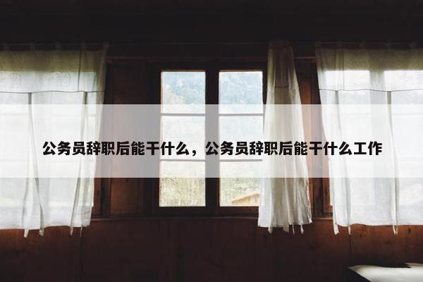 公务员辞职后能干什么，公务员辞职后能干什么工作